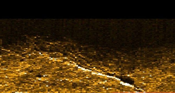 Is This a Sonar Image of Amelia Earhart’s Plane?