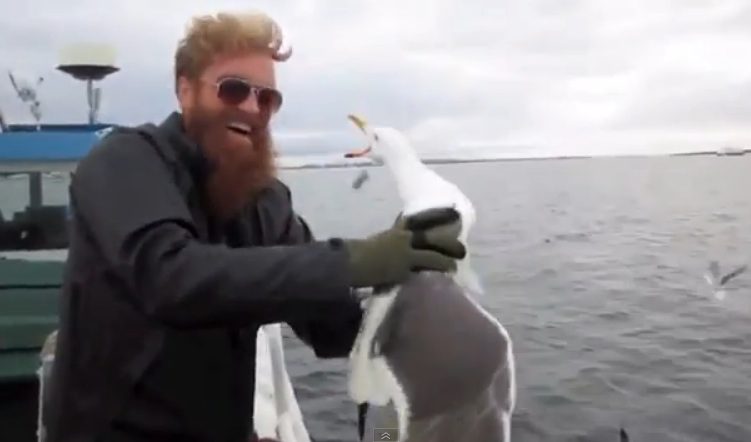 WATCH: Salty Fisherman Catches Seagull Mid-Flight