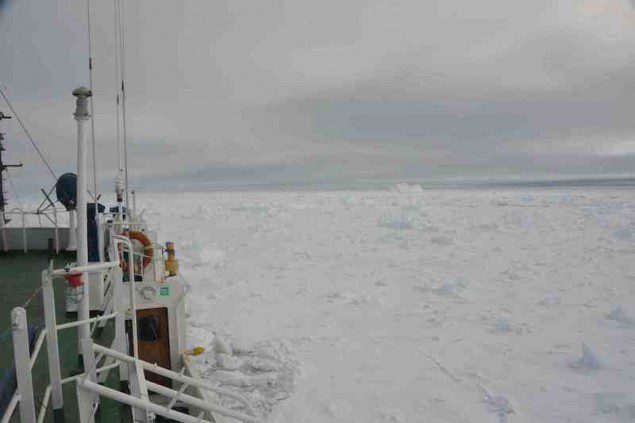 Photo taken aboard the MV Akademik Shokalski off Antarctica. Image courtesy AMSA