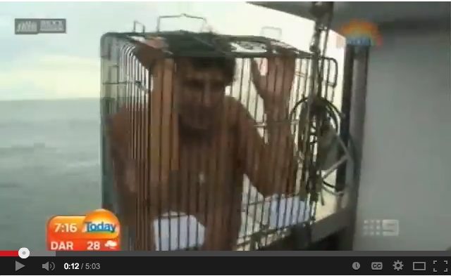 Shark Diving with a Bird Cage? No Worries Mate!