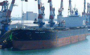 trident navigator ship bulk carrier