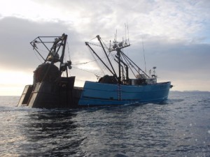 Fishing vessel offshore