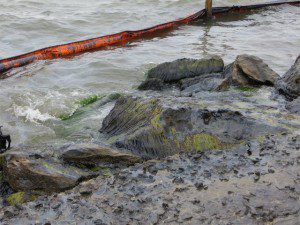houston ship channel oil spill