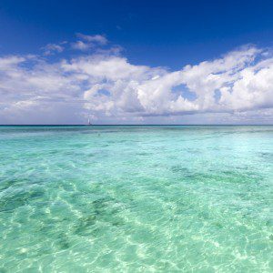 tropical waters ocean jamaica