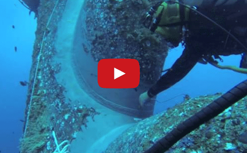 Another Video to Get You Pumped About Commercial Diving
