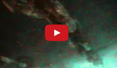 Underwater Footage Shows Refloated Costa Concordia