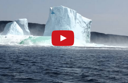 Watch: Wife Freaks Out After Iceberg Collapses