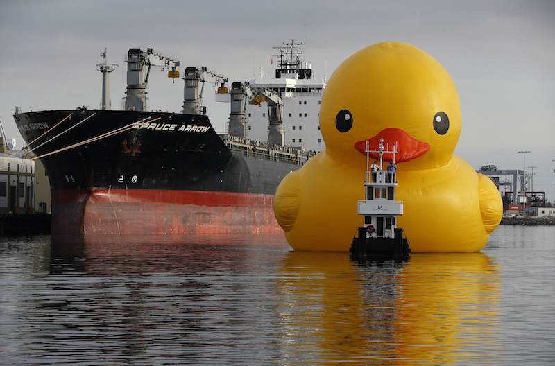 Giant Rubber Duck Floats Into Port of Los Angeles – PHOTOS