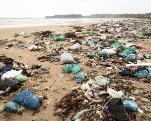 garbage sea ocean beach pollution environment