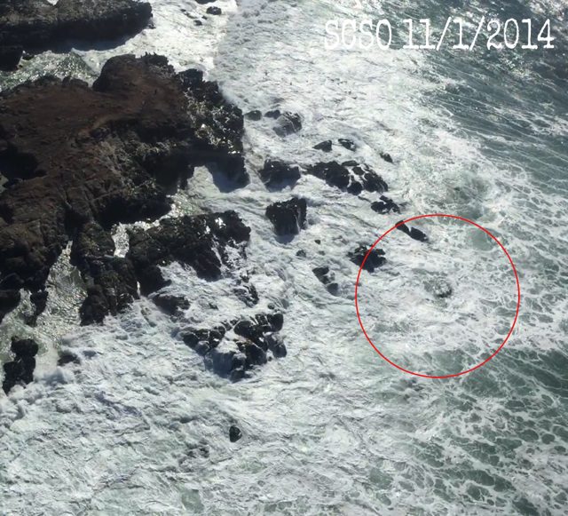 Four Killed Near Bodega Bay After Crabbing Boat Capsizes