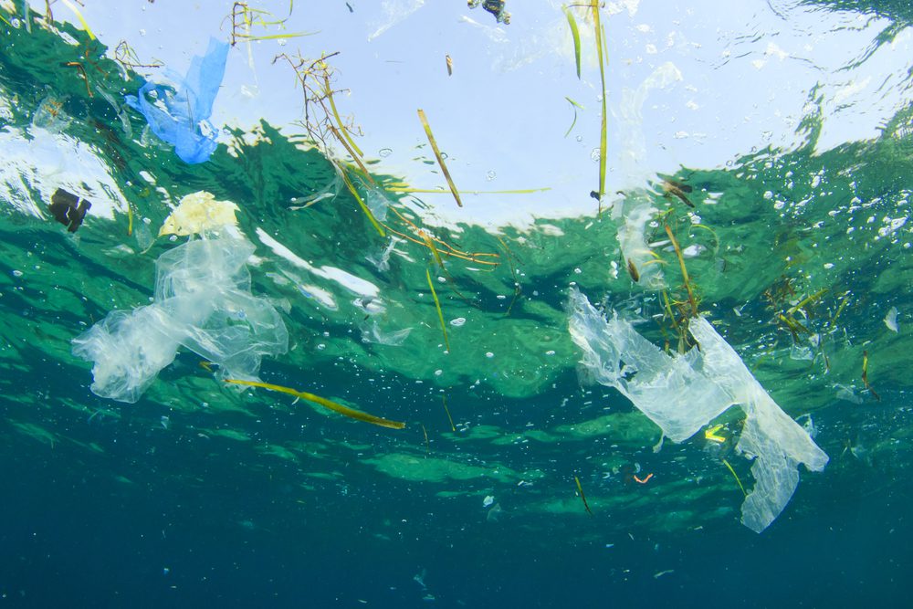 Israel Dumps Plastic Tax Despite Oceans Of Concern