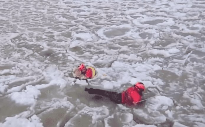 Coast Guard Rescues Dog from Icy Lake – Your Feel Good Video of the Day