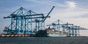 maersk klaipeda containership rotterdam apm terminals