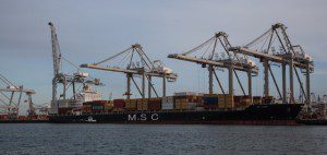 msc containership rotterdam