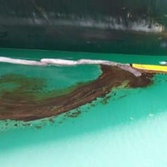Bunker Fuel Spill in New Zealand’s Tauranga Harbour