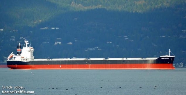 Grounded Norden Bulker Blocks Busy South American Waterway