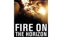 Deepwater Horizon Book: The Untold Story of the Gulf Oil Disaster