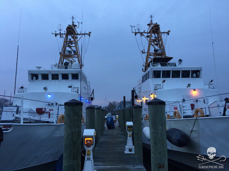 sea shepard ships Farley Mowat and Jules Verne