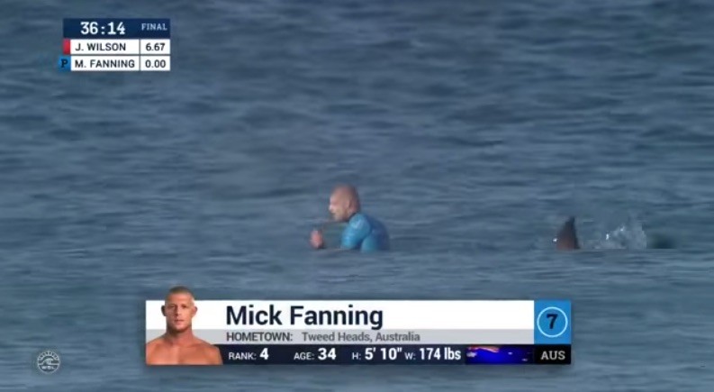 WATCH: Pro Surfer Fights Off Shark Attack on Live Television