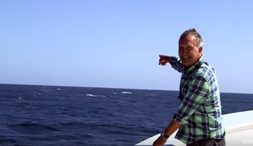 WATCH: Blue Whale Has Perfect Comedic Timing