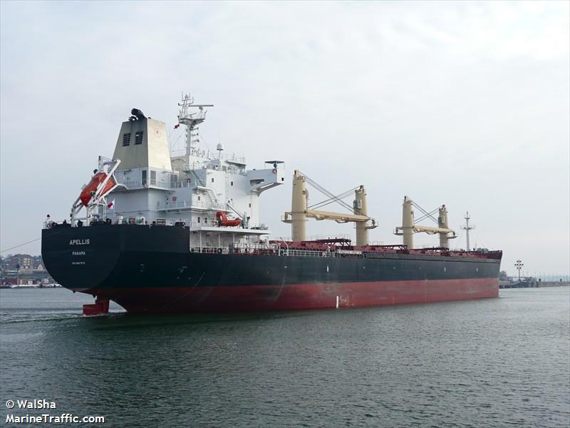 Australia Detains Bulk Carrier Over Crew Labor Violations