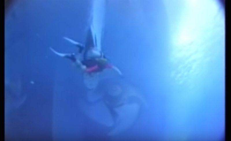 Divers Nearly Caught In Cruise Ship Propeller -VIDEO
