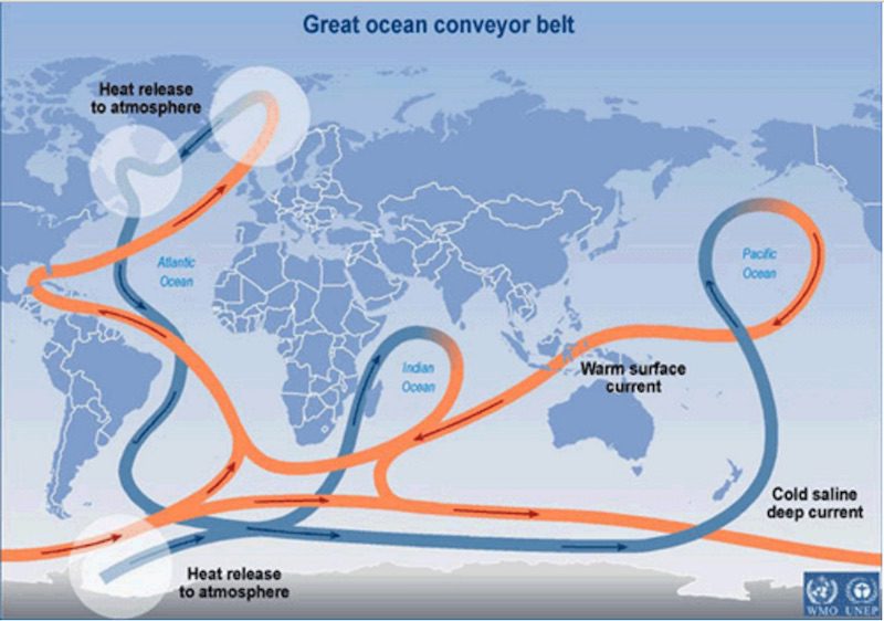 What is the Role of the Oceans in Global Warming/Climate Change?