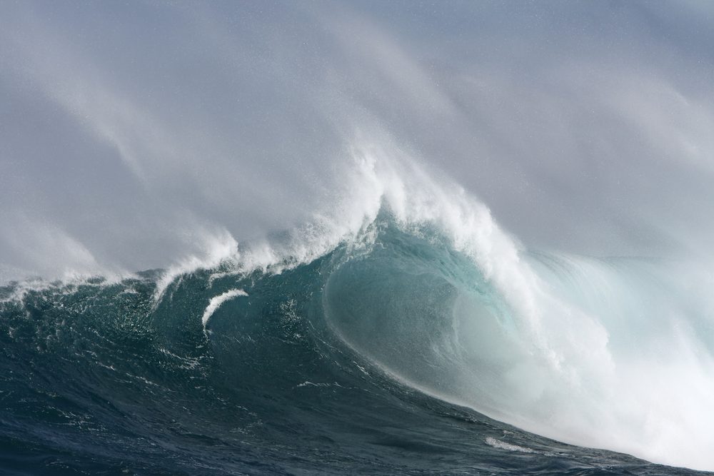 Rogue Wave Photo