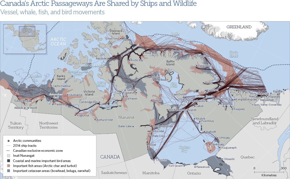 New Report Calls on Canada to Address Shipping-Related Challenges in the Arctic
