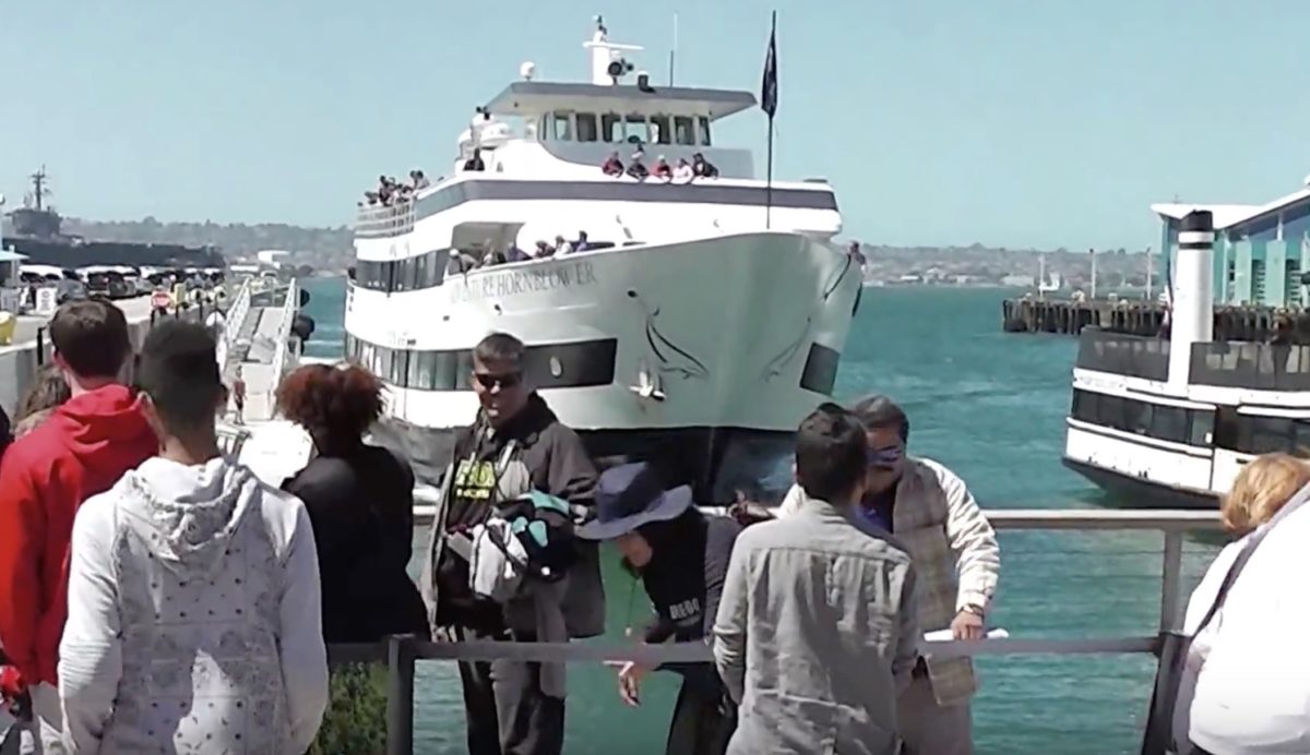 WATCH: San Diego Harbor Cruise Plows Into Pier Right in Front of Tourists