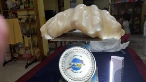 World's Largest Pearl