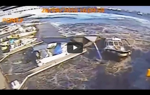 Video: Carnival Cruise Ship’s Prop Wash Destroys Italian Marina