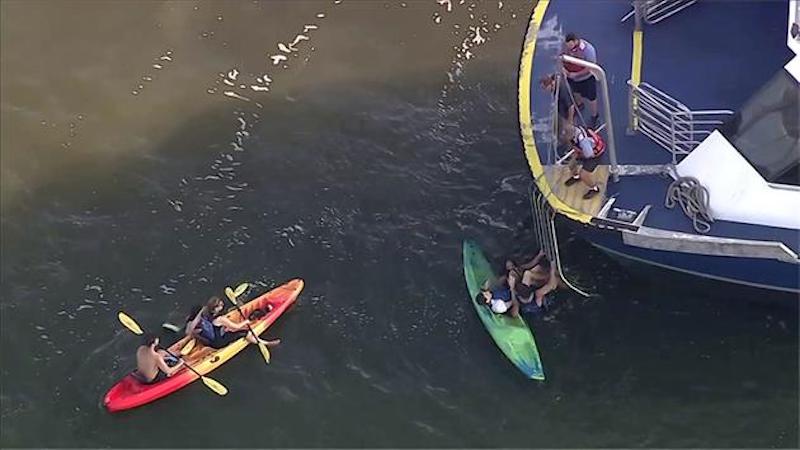 Kayakers Collide With New York Ferry