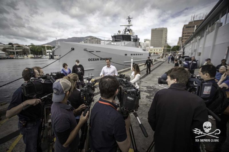 Australian Senator Peter Whish-Wilson speaking at a Sea Shepherd press conference in Hobart, Tasmania Dec 3rd. Photo: Sea Shepherd Global/Simon Ager