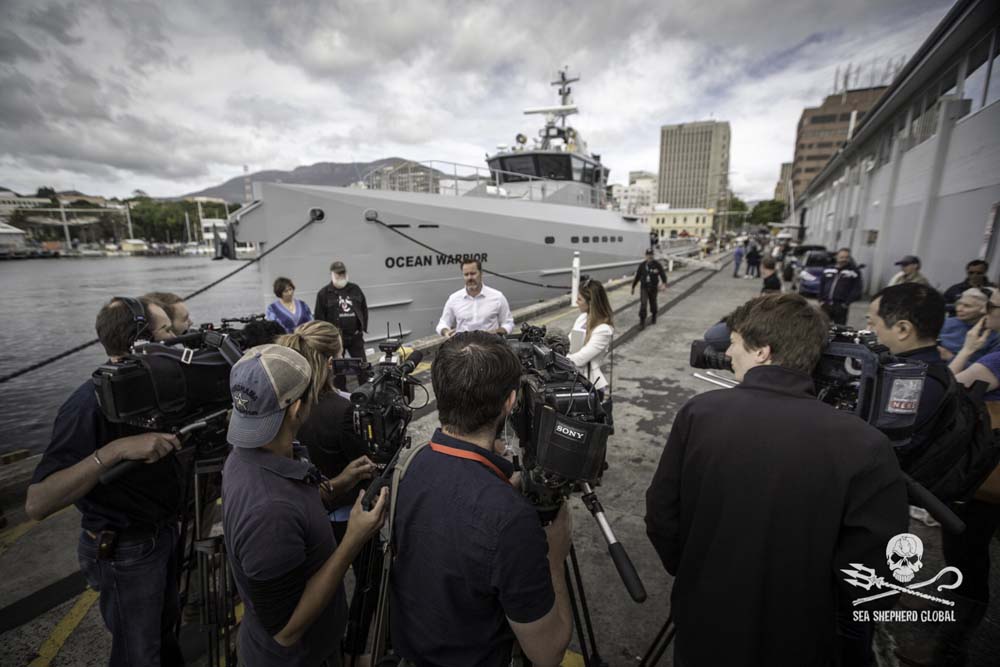 Sea Shepherd Embarks on Latest Whale Defense Campaign Against Japanese Whalers