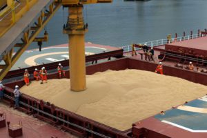Employees working at cargo ship Kypros Land which is loading soybeans to China at Tiplam terminal in Santos