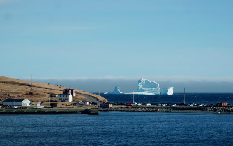 newfoundland iceberg