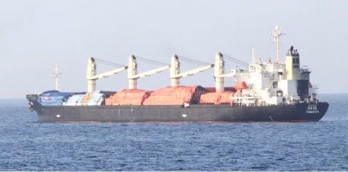 Navies Thwart Suspected Somali Pirate Attack on Bulk Carrier