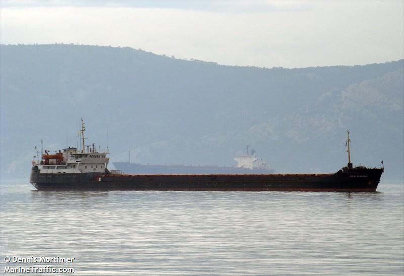 Geroi Arsenala cargo ship