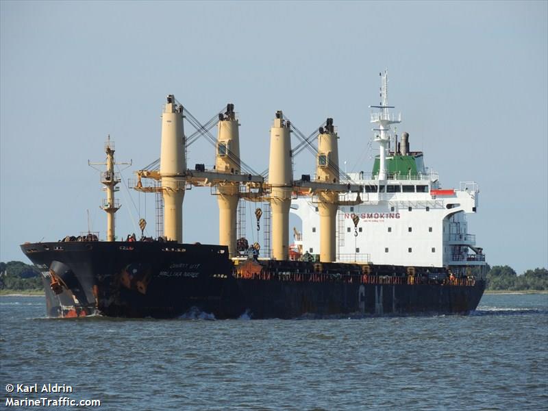 Coast Guard Monitoring Disable Cargo Ship in Norfolk, Virginia