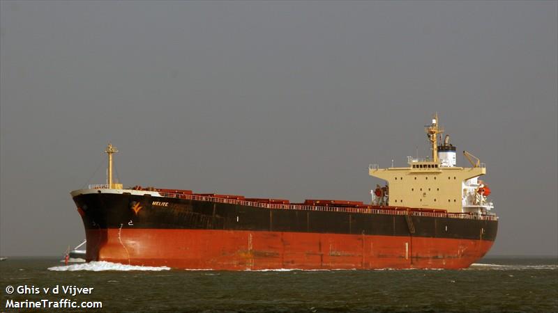 Diana Shipping Bulk Carrier Runs Aground in Indonesia