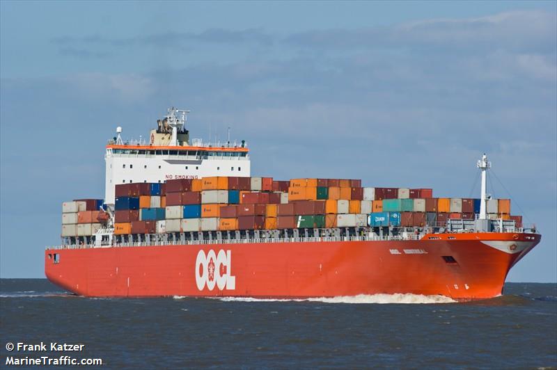 Four Stowaways Found Inside Shipping Container at Port of Montreal
