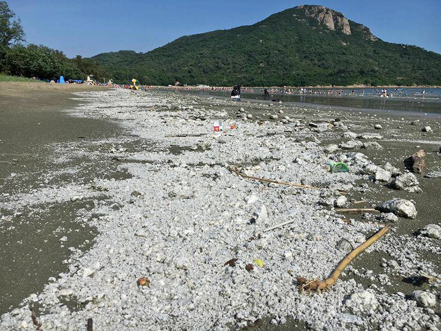 Hong Kong Closes Beaches as Stinking Palm Oil Washes Ashore Days After Ship Collision
