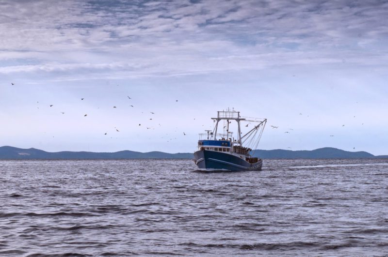 commercial fishing vessel
