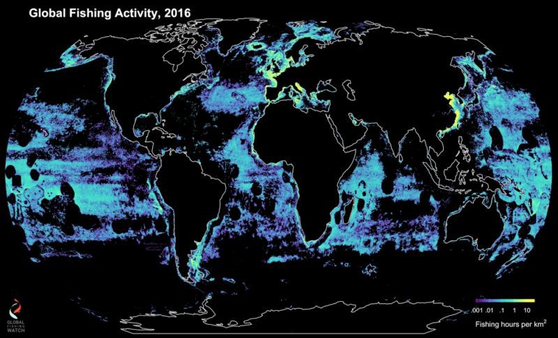 global fishing map