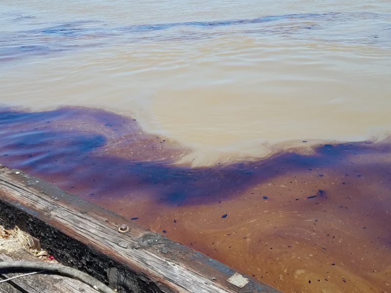 new orleans oil spill