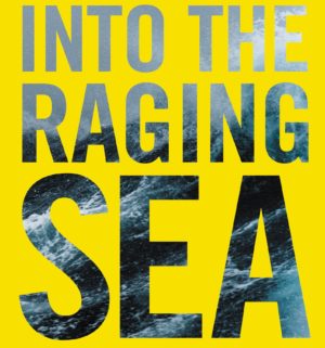 Into the Raging Sea book