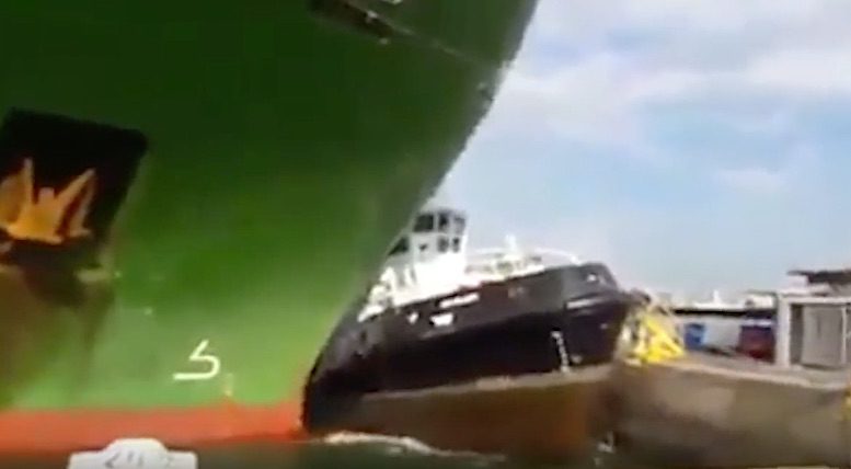 Incident Video: Car Carrier Crunches Tugboat in Durban Harbour