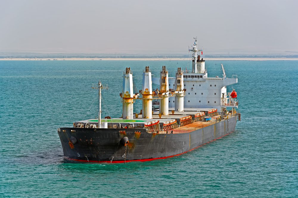 bulk ship in egypt