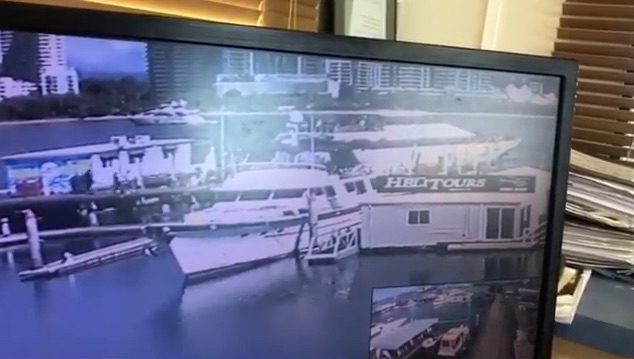 Incident Video: Australian Whale Watching Boat Loses Control at Dock